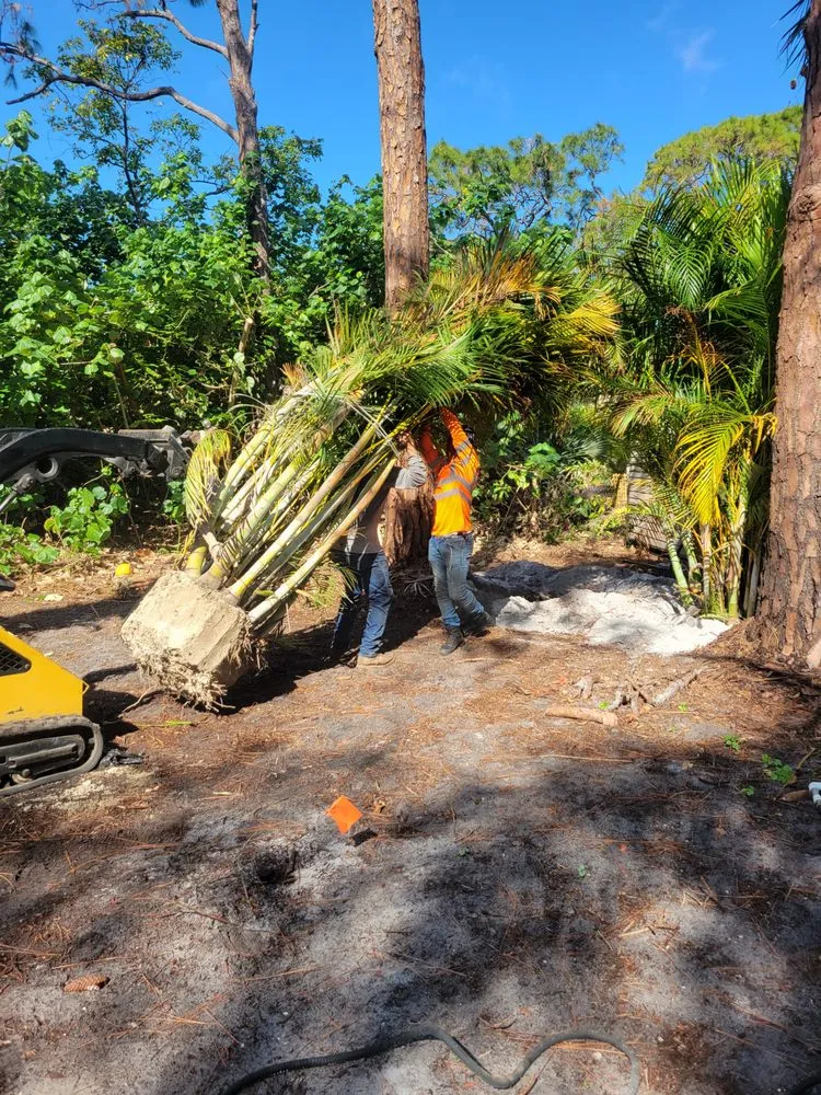 Affordable yard maintenance in Naples, FL - Arrow Landscaping and Designs