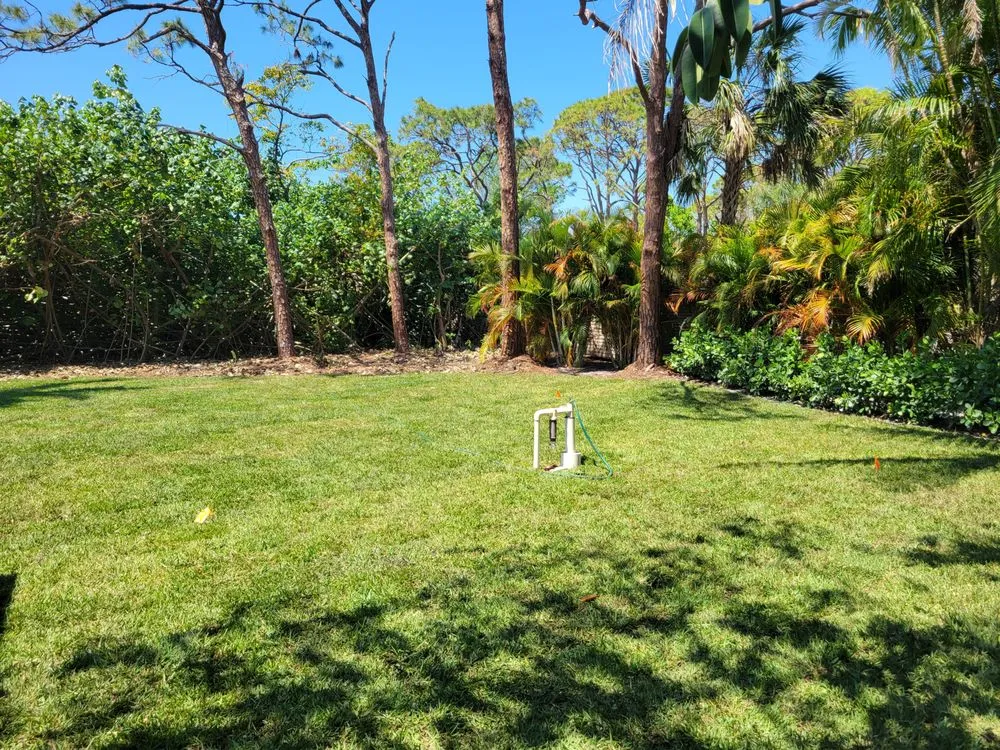 Local residential landscaping for residential properties across Naples, FL - Arrow Landscaping and Designs