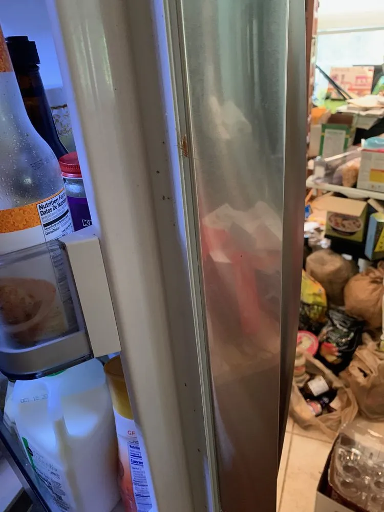 Custom residential landscaping in Naples, FL - Arrow Landscaping and Designs