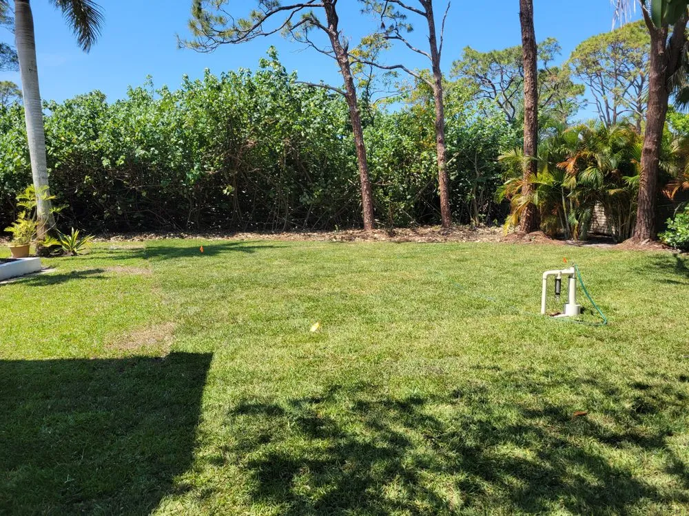 Expert lawn care service for homes across Naples, FL - Arrow Landscaping and Designs