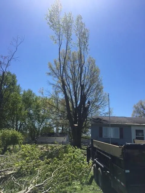 Affordable outdoor landscaping with custom design in Petersburg, MI by Arrow Tree Service