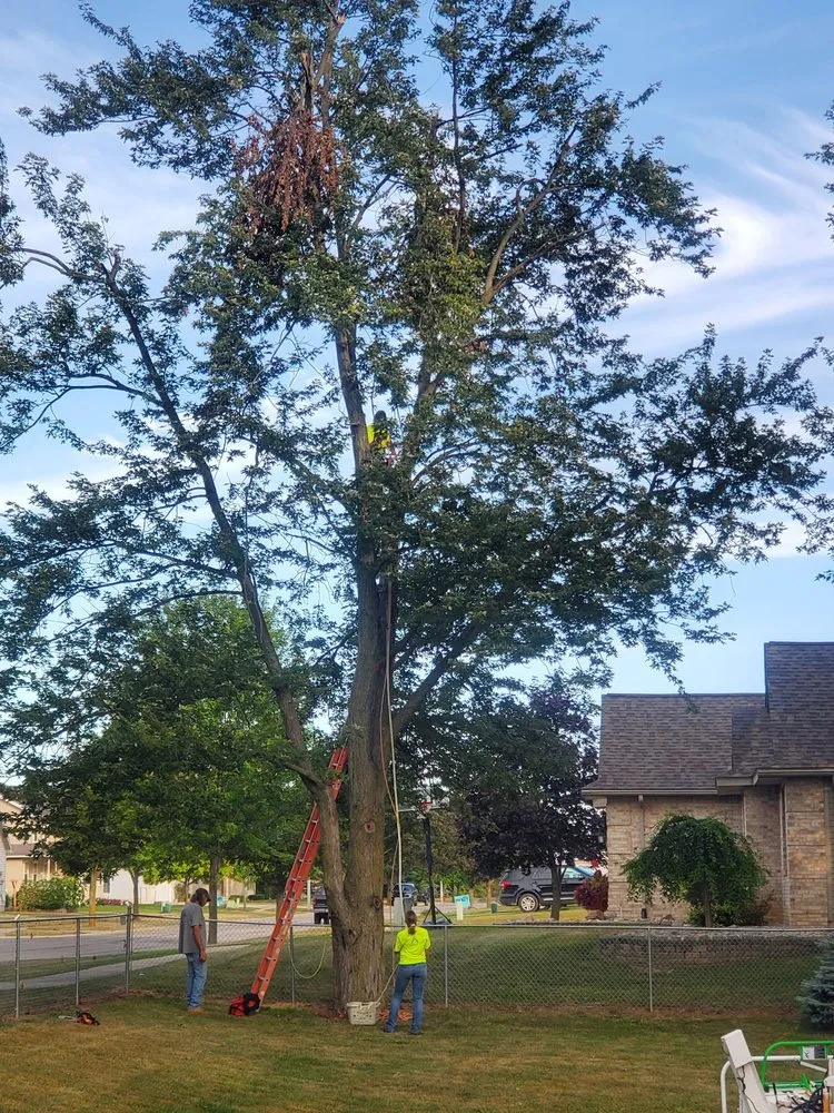 Reliable garden landscaping experts serving Petersburg, MI - Arrow Tree Service