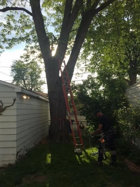 Reliable landscape design for residential properties across Petersburg, MI - Arrow Tree Service