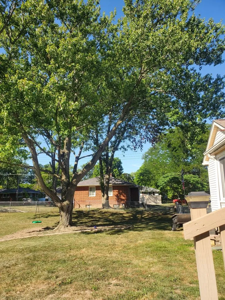 Reliable yard maintenance experts serving Petersburg, MI - Arrow Tree Service