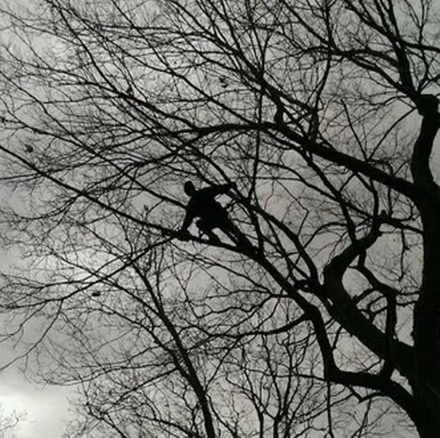 Local lawn mowing service experts serving Petersburg, MI - Arrow Tree Service