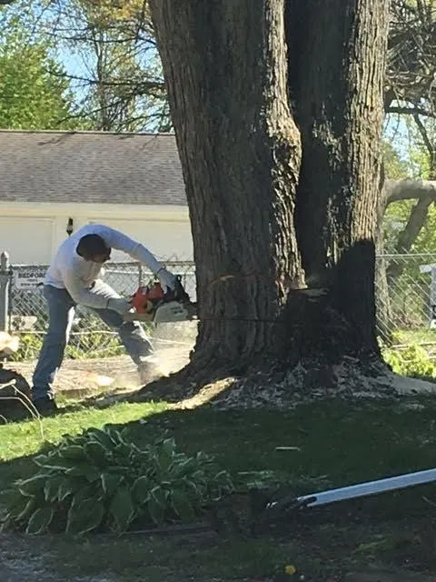 Top-rated landscaping services for beautiful yards in Petersburg, MI by Arrow Tree Service