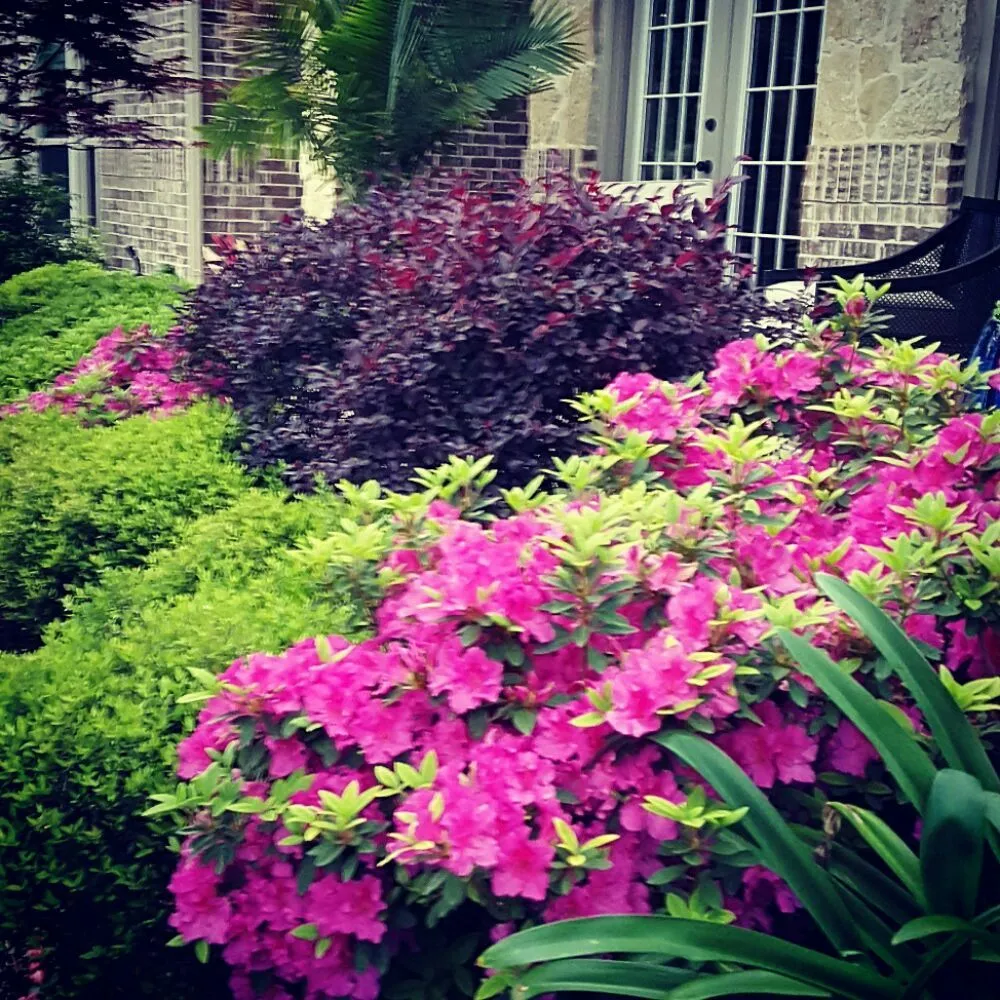 Reliable yard maintenance in Frisco, TX by Arrowbrooke Landscapes