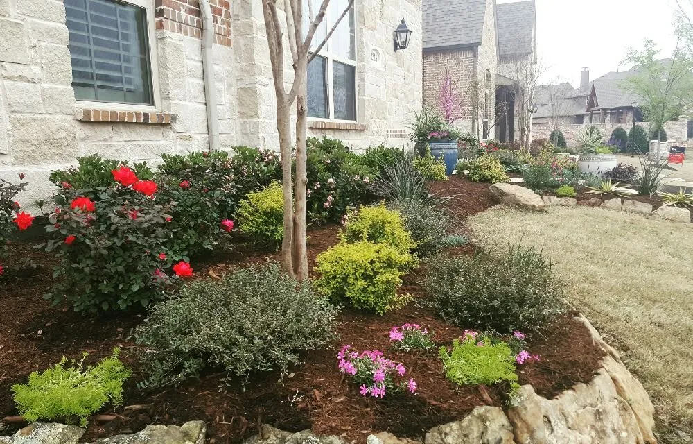 Affordable outdoor landscaping in Frisco, TX - Arrowbrooke Landscapes