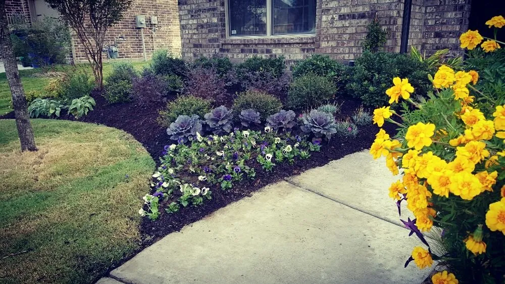 Expert landscape installation in Frisco, TX - Arrowbrooke Landscapes