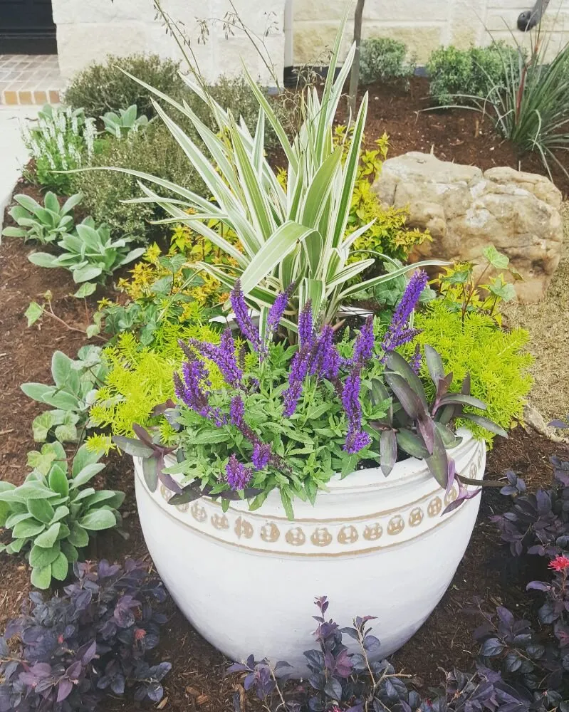 Local lawn care service near you across Frisco, TX - Arrowbrooke Landscapes