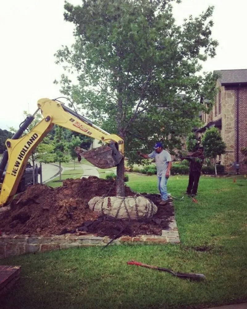 Expert landscaping services experts serving Frisco, TX - Arrowbrooke Landscapes