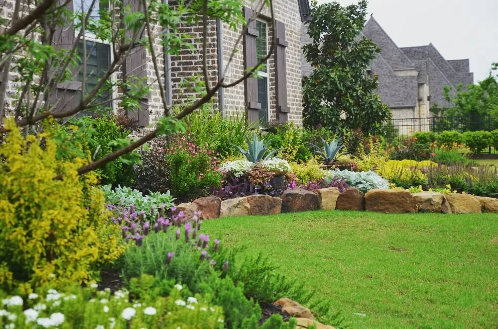 Local lawn care service in Frisco, TX - Arrowbrooke Landscapes