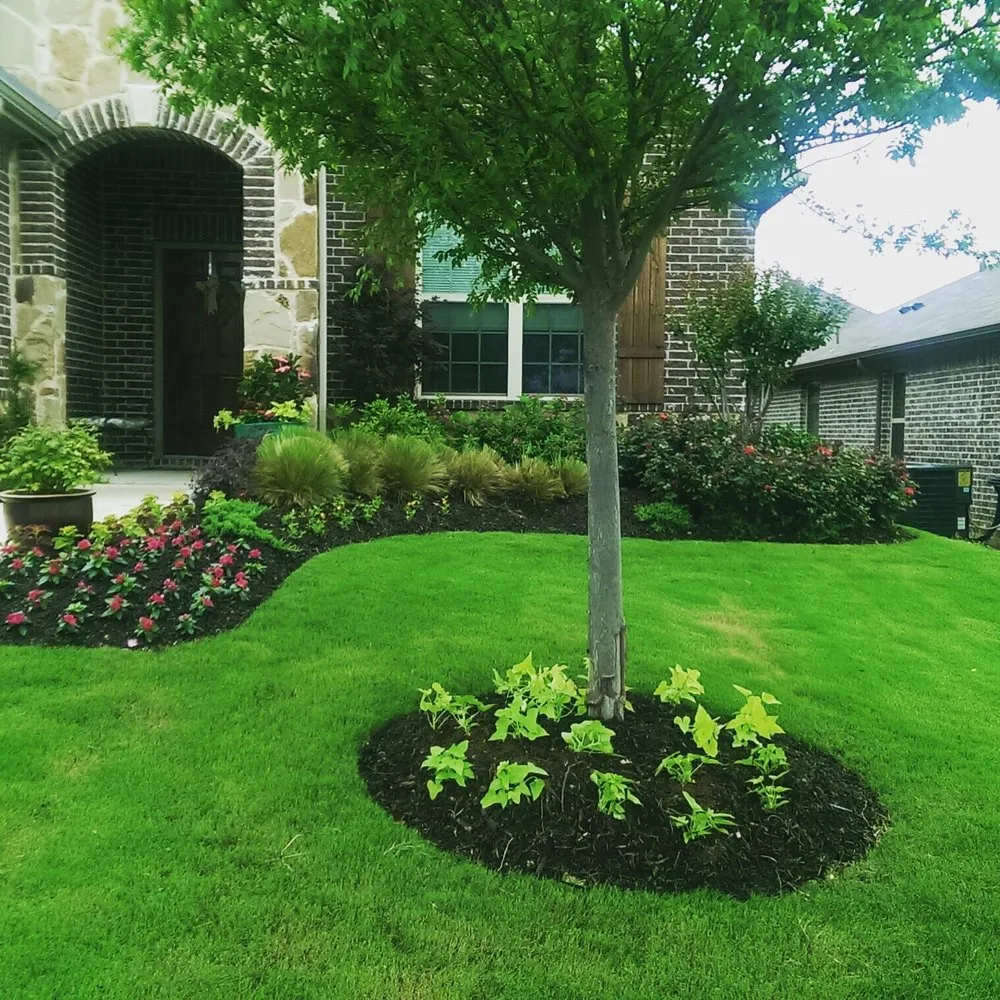 Affordable landscape design experts serving Frisco, TX - Arrowbrooke Landscapes