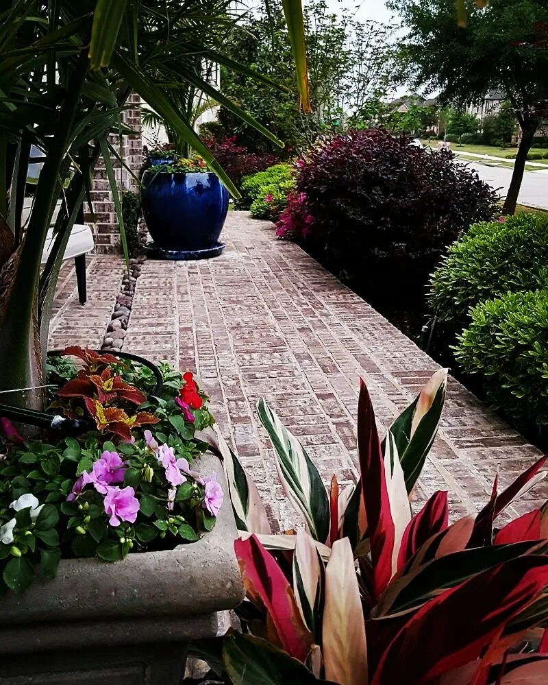 Trusted yard maintenance in Frisco, TX - Arrowbrooke Landscapes
