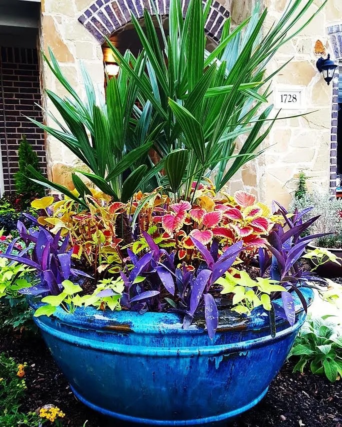 Local lawn mowing service for year-round maintenance in Frisco, TX by Arrowbrooke Landscapes