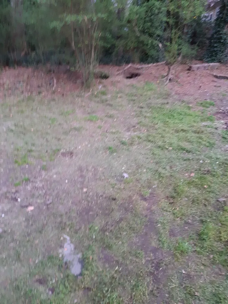 Affordable landscaping services in Macon, GA - Arrowhead Cleanouts