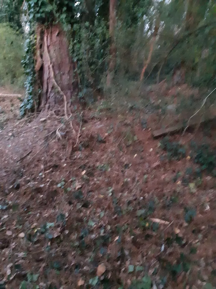 Professional lawn mowing service in Macon, GA by Arrowhead Cleanouts