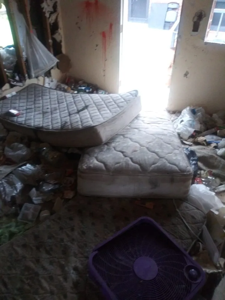 Top-rated landscaping services in Macon, GA - Arrowhead Cleanouts