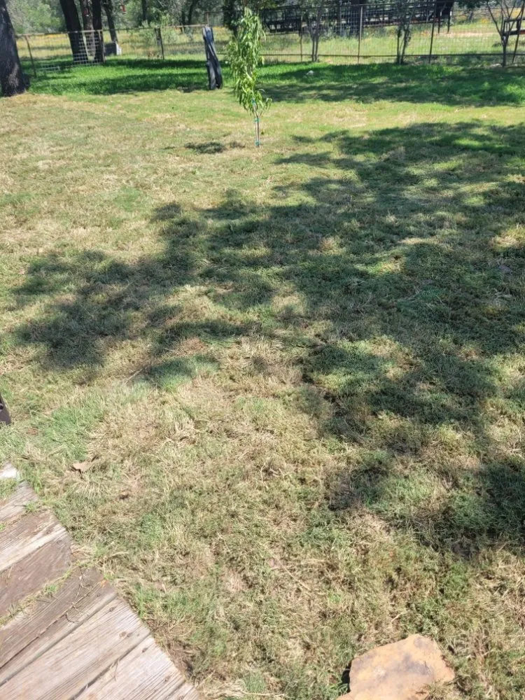 Custom landscaping services for outdoor upgrades in Natalia, TX by Arrowhead Landscaping