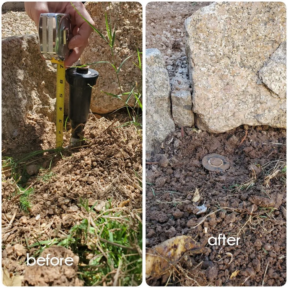 Trusted yard maintenance for homes across Sun City West, AZ - Arroyo and Sons Hardscape