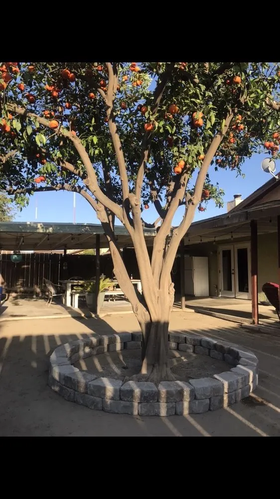 Local lawn mowing service for outdoor upgrades across Bakersfield, CA - Arroyo Grande Landscaping