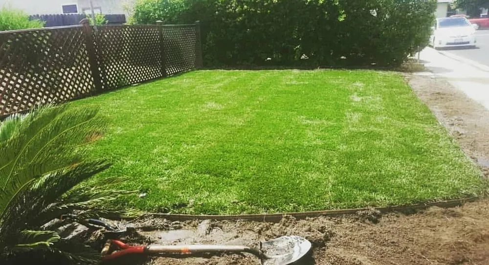 Professional yard cleanup service in Clovis, CA - Arroyo Grande Landscaping