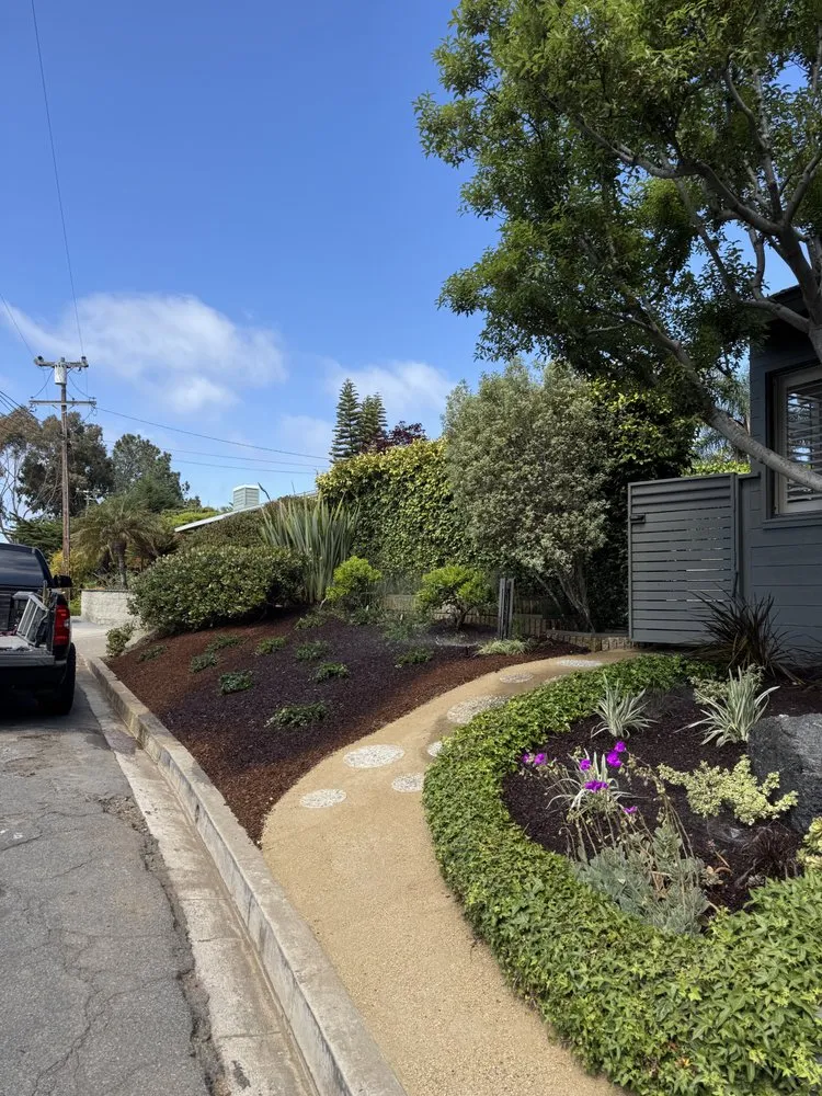 Top-rated yard cleanup service experts serving Escondido, CA - Arroyo Landscapes