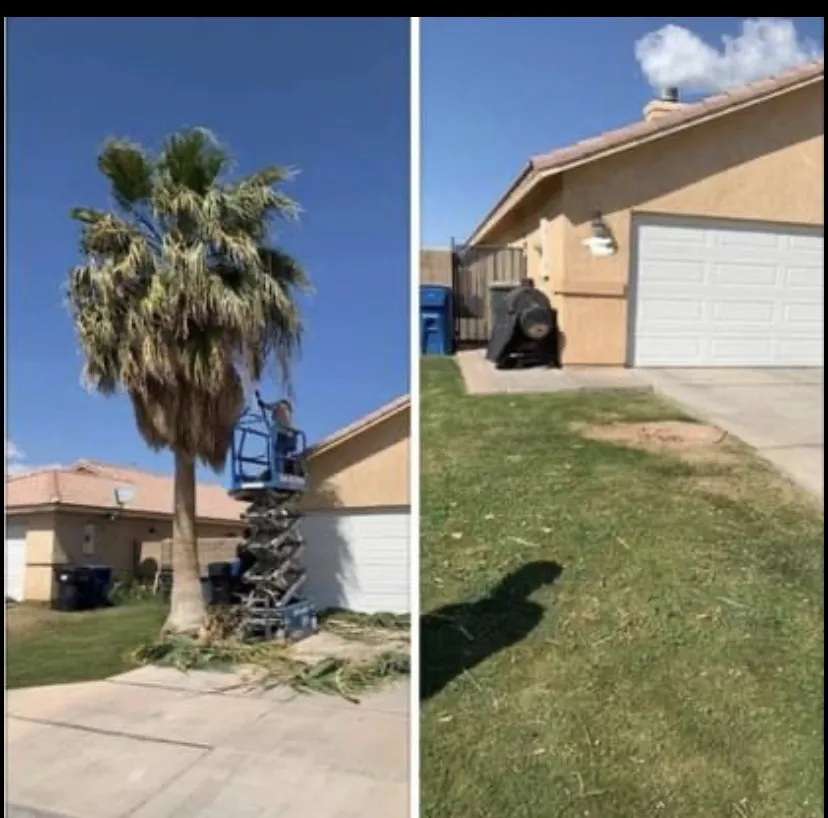 Local garden landscaping for beautiful yards across Imperial, CA - Arroyo Landscaping And Equipment