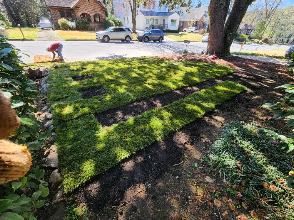 Trusted yard cleanup service in Atlanta, GA - Arroyo Landscaping