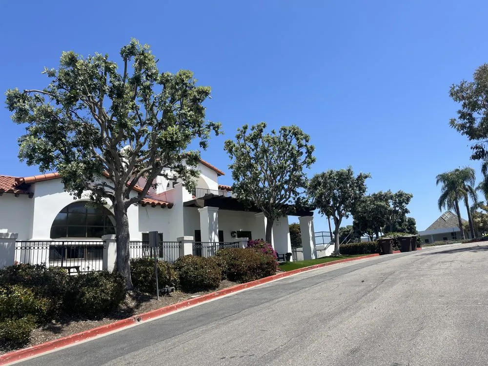 Expert landscape design with custom design in Costa Mesa, CA by Arroyo Landscaping