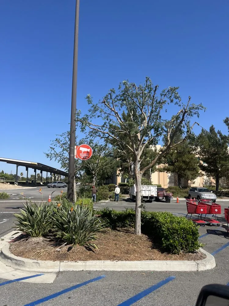 Reliable landscape installation experts serving Costa Mesa, CA - Arroyo Landscaping