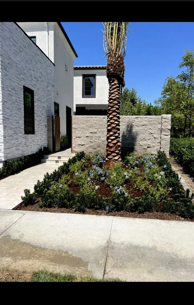 Trusted lawn care service for beautiful yards across Costa Mesa, CA - Arroyo Landscaping