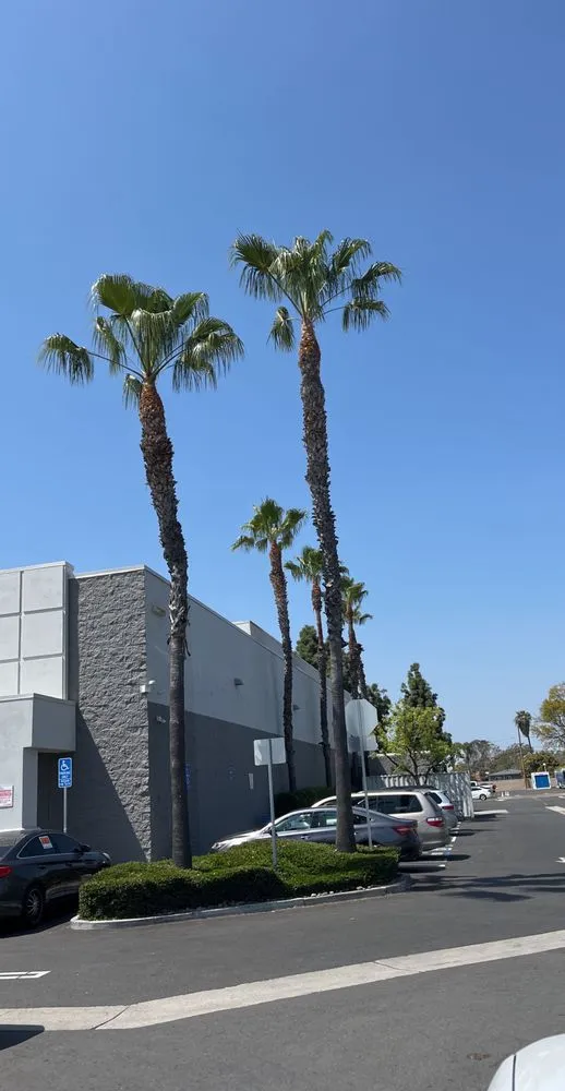 Local yard maintenance for residential properties across Costa Mesa, CA - Arroyo Landscaping