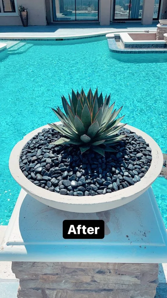 Local landscape installation in Costa Mesa, CA by Arroyo Landscaping