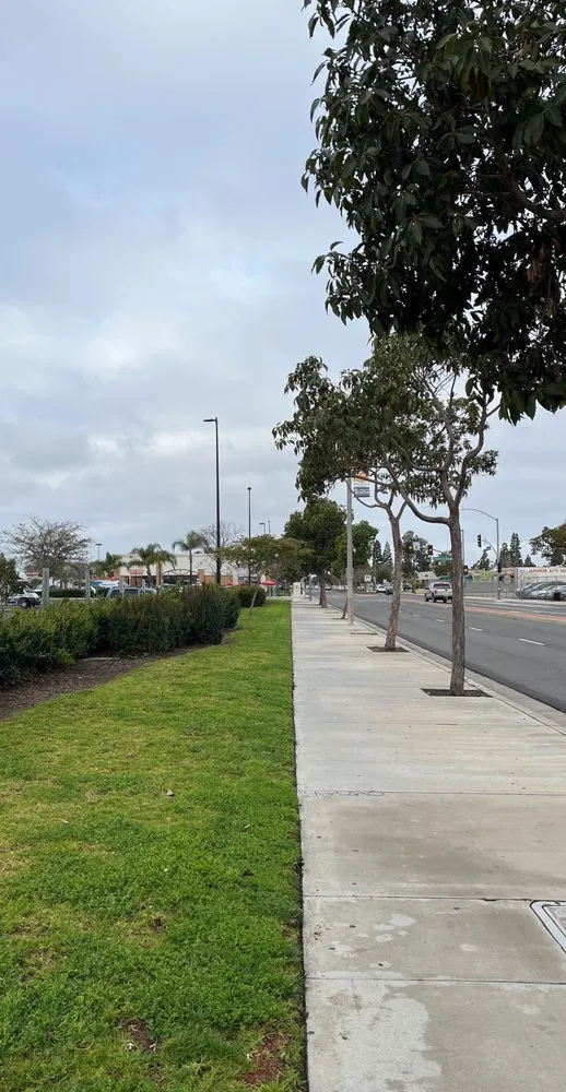 Expert lawn care service for beautiful yards in Costa Mesa, CA by Arroyo Landscaping