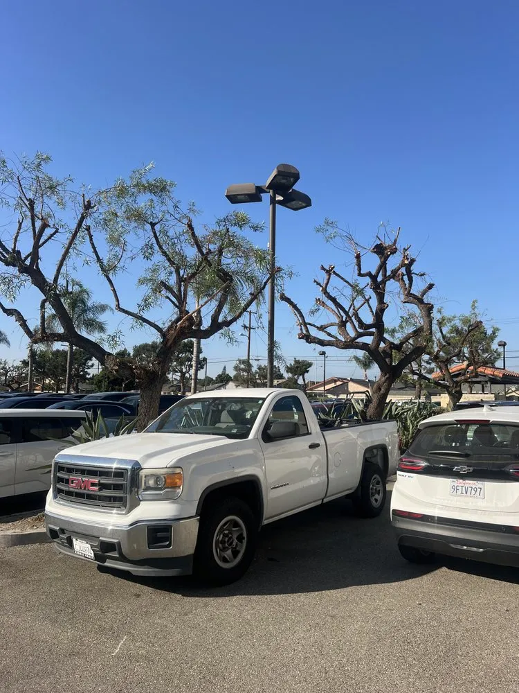 Professional yard cleanup service for residential properties in Costa Mesa, CA by Arroyo Landscaping