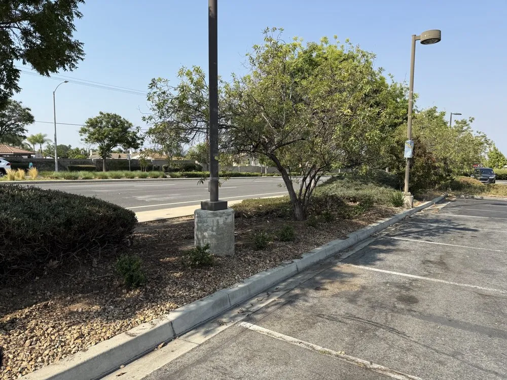 Expert landscape installation in Costa Mesa, CA - Arroyo Landscaping