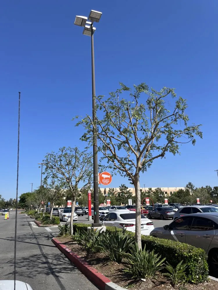 Affordable lawn care service in Costa Mesa, CA by Arroyo Landscaping