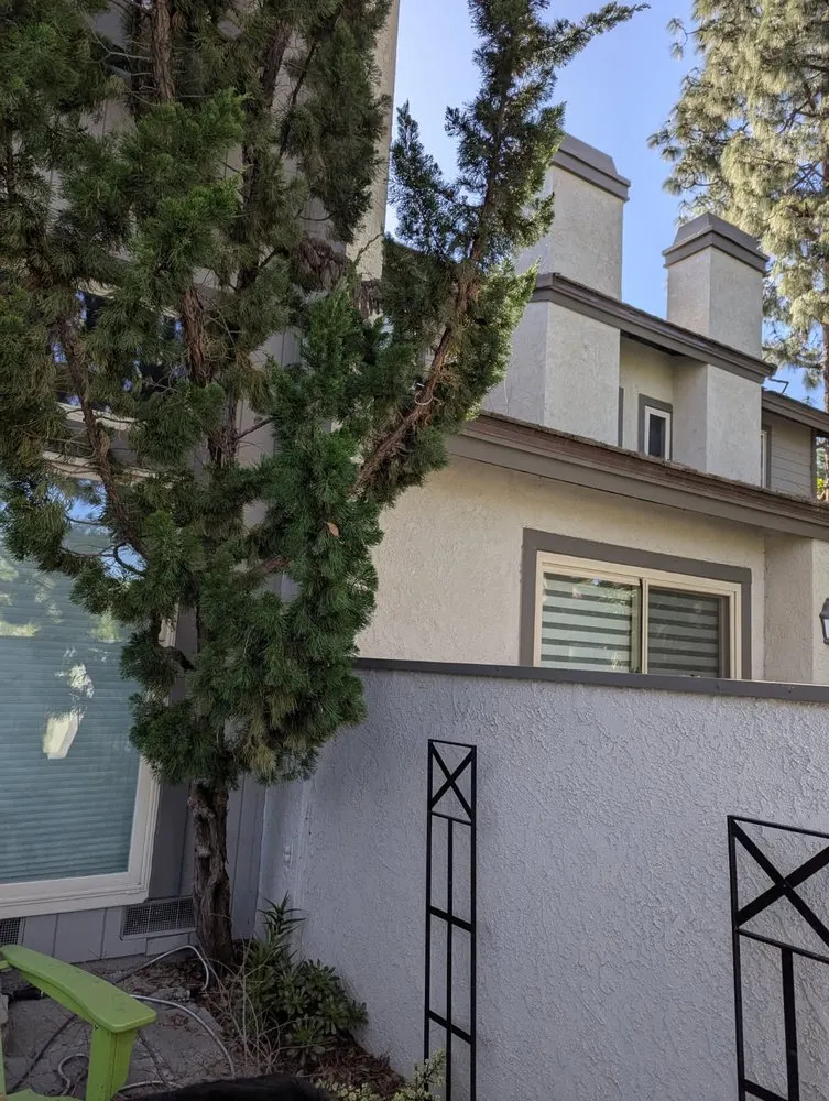 Professional residential landscaping in Costa Mesa, CA by Arroyo Landscaping