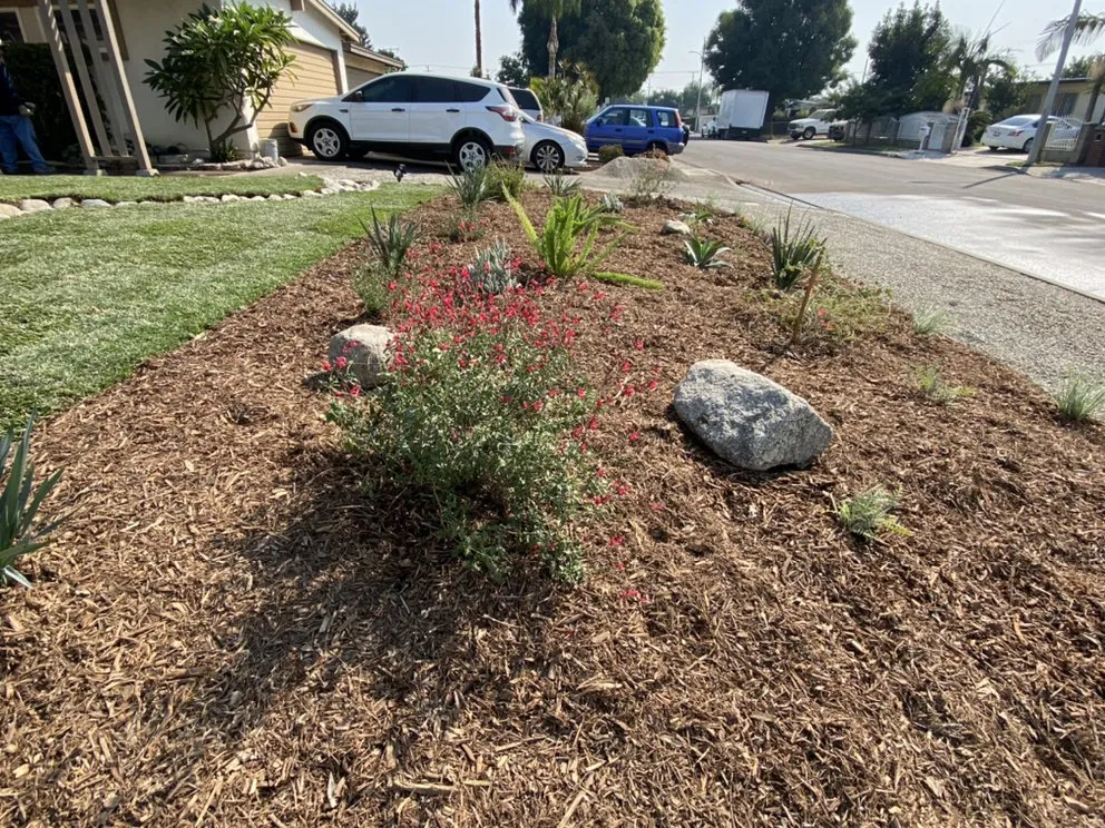 Trusted lawn care service for homes across Pasadena, CA - Arroyo Seco Landscape & Design