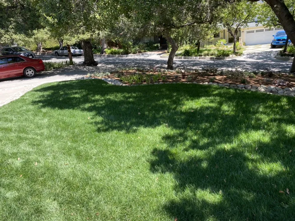 Local yard maintenance experts serving Pasadena, CA - Arroyo Seco Landscape & Design