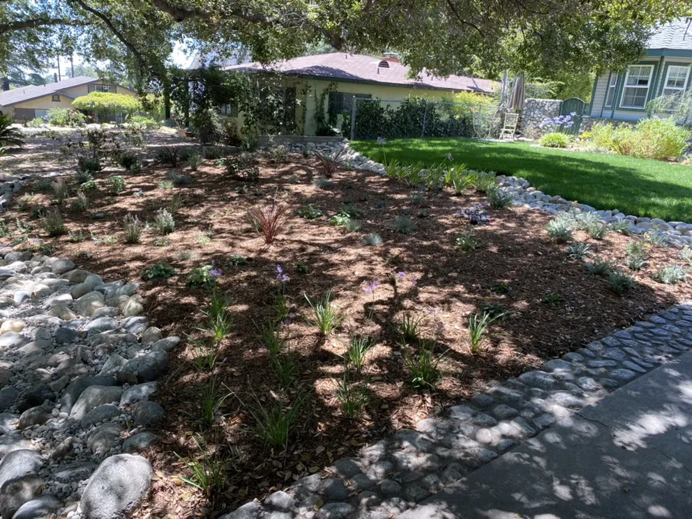 Reliable lawn mowing service in Pasadena, CA - Arroyo Seco Landscape & Design