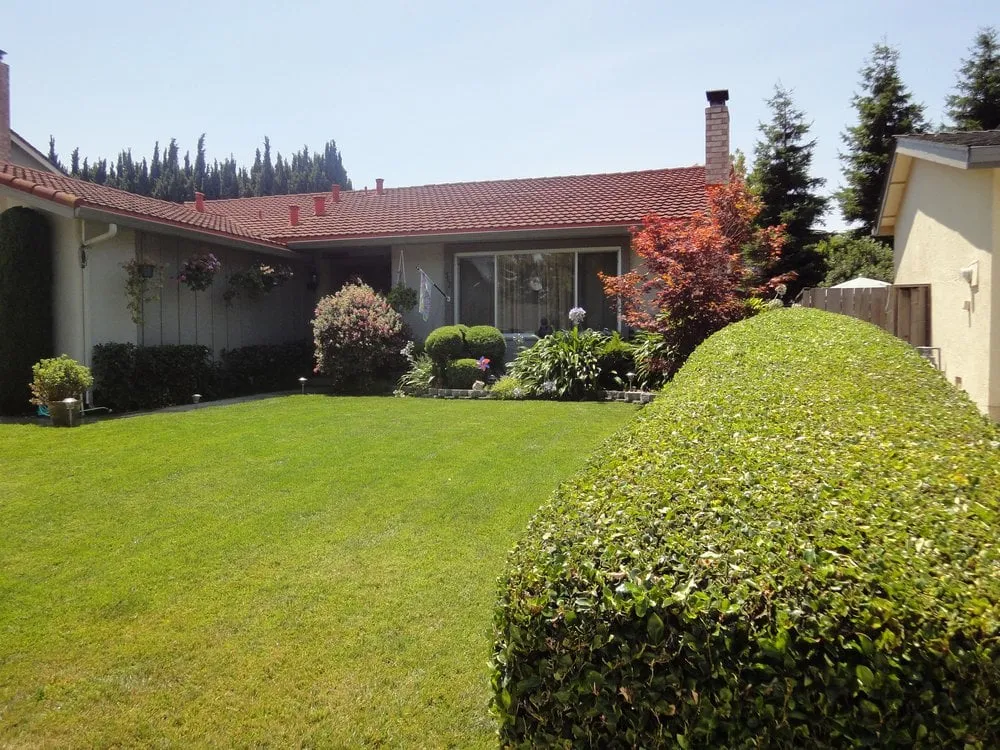 Professional outdoor landscaping for beautiful yards in San Jose, CA by Arroyo's Gardening Services