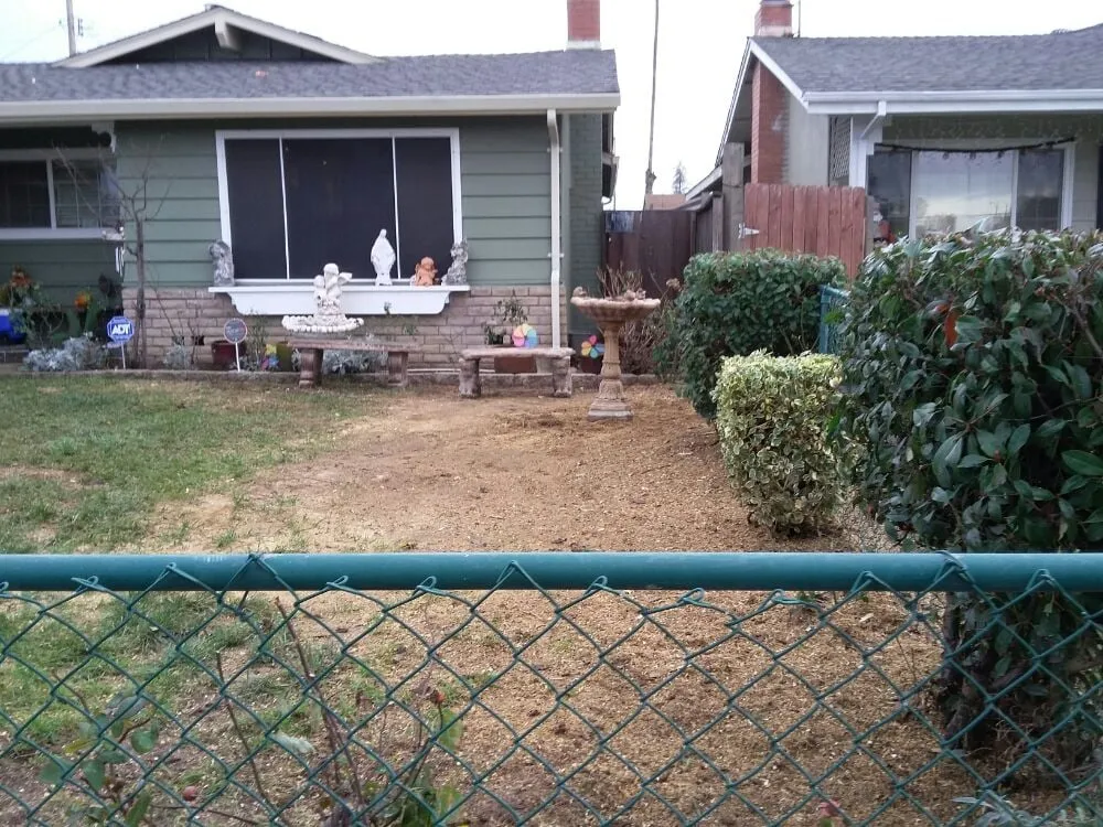 Expert lawn care service for homes in San Jose, CA by Arroyo's Gardening Services