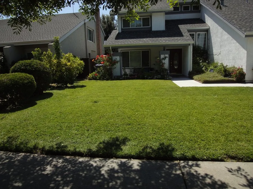 Expert lawn care service for year-round maintenance in San Jose, CA by Arroyo's Gardening Services