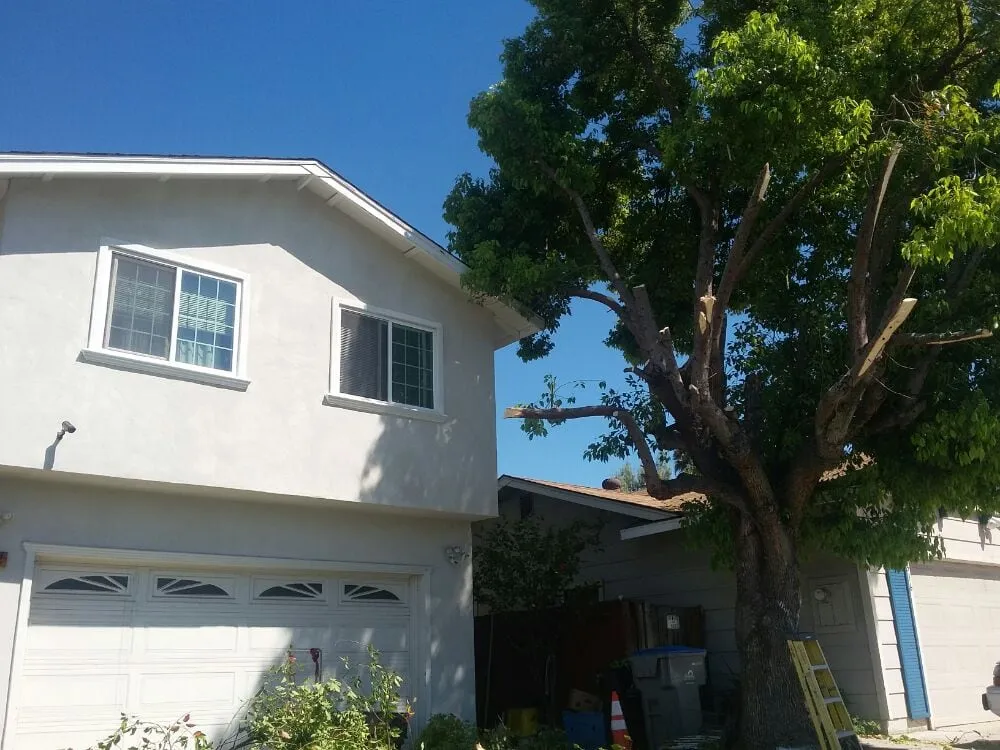 Affordable lawn mowing service for beautiful yards in San Jose, CA by Arroyo's Gardening Services