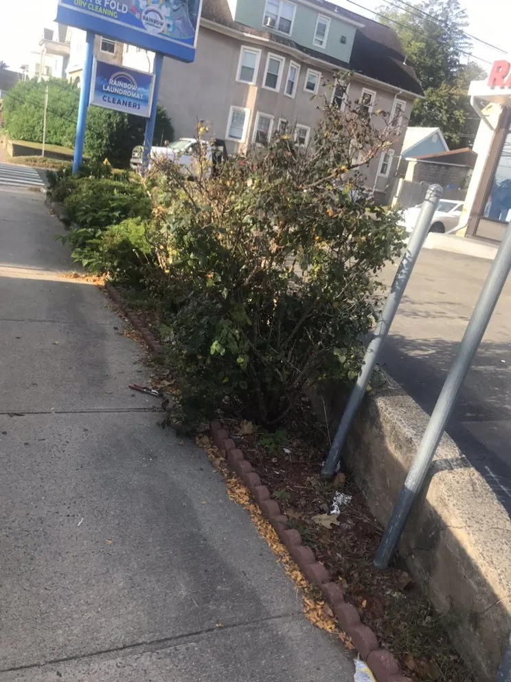 Affordable landscape installation in Wallingford, CT by Arroyo’s landscaping