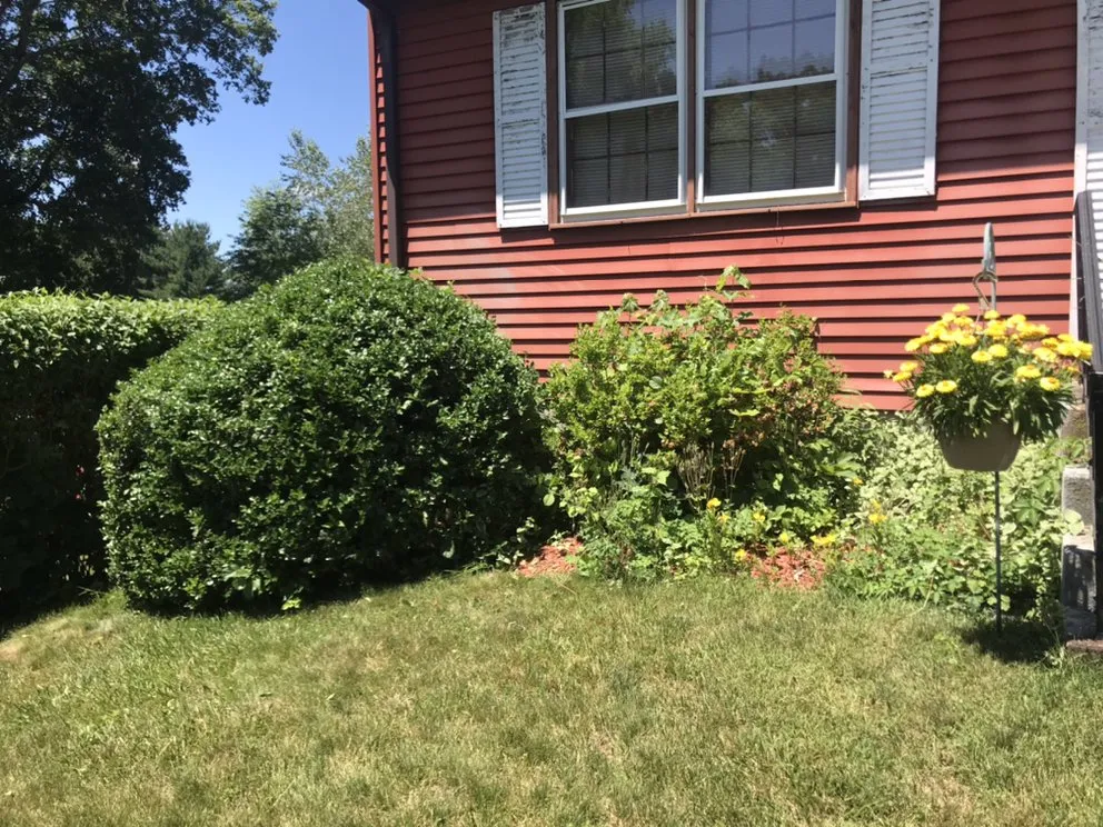 Local lawn mowing service experts serving Wallingford, CT - Arroyo’s landscaping