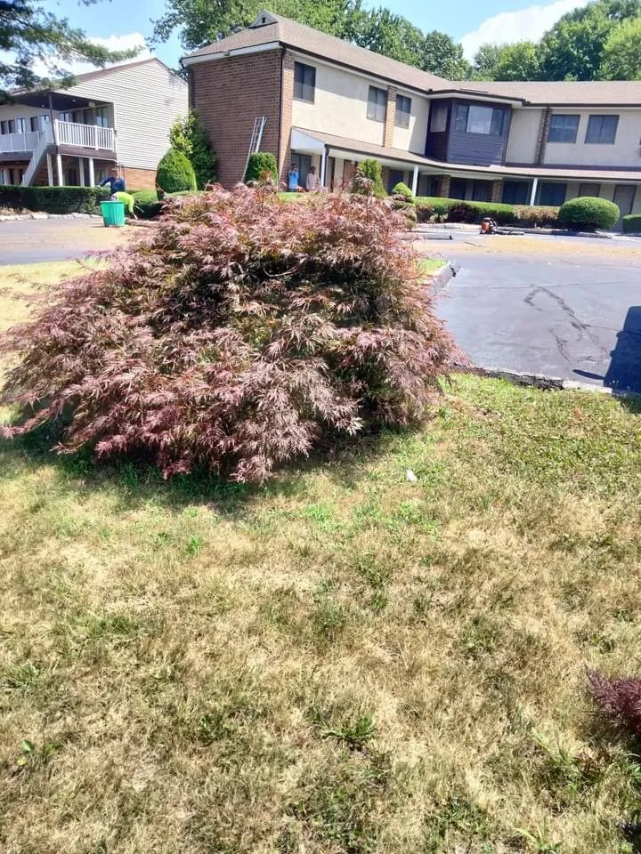 Trusted landscape installation experts serving Wallingford, CT - Arroyo’s landscaping