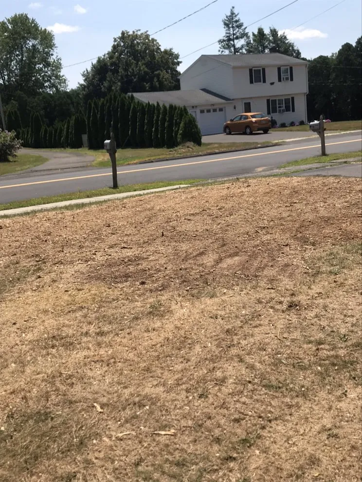 Expert yard maintenance for homes across Wallingford, CT - Arroyo’s landscaping